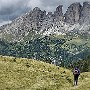 Sassolungo from high meadows above Ciampac